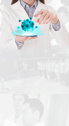 �����|����������jinnian(��������)��������