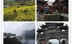 Ʒ�������� ��ͬ������