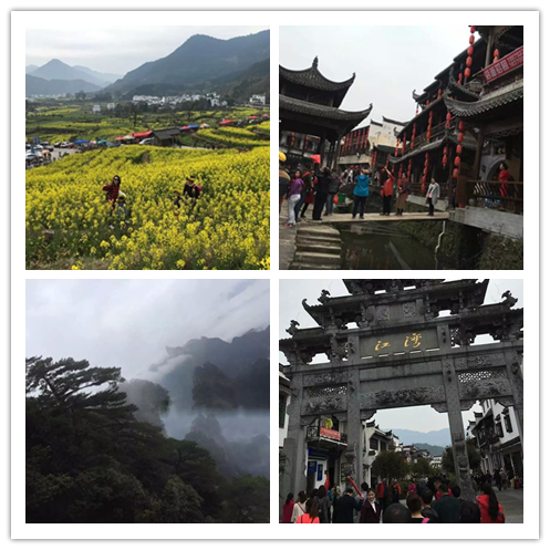 �����|����������jinnian(��������)��������