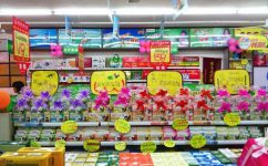 ҩ���������Ҫ��