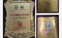 �����ϲ���й�ҩ��չ�����������