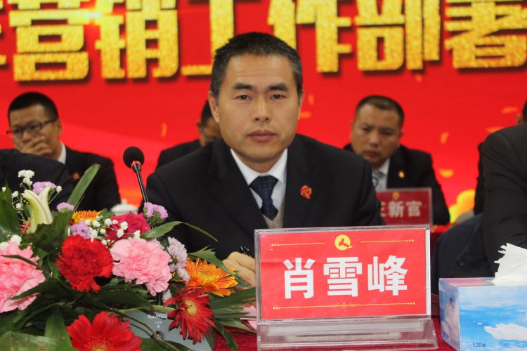 �����|����������jinnian(��������)��������