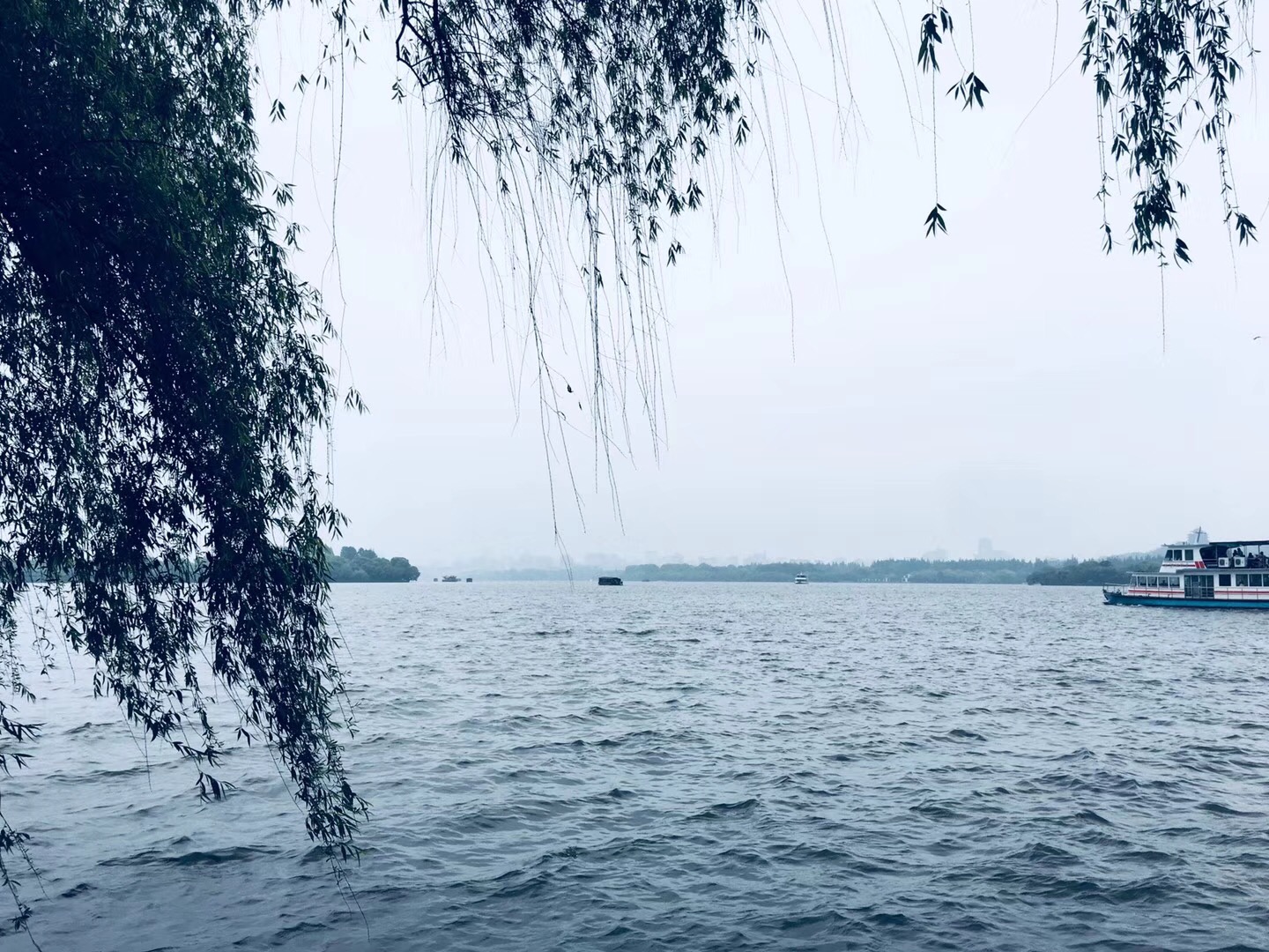 �����|����������jinnian(��������)��������