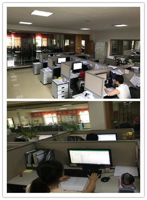 �����|����������jinnian(��������)��������