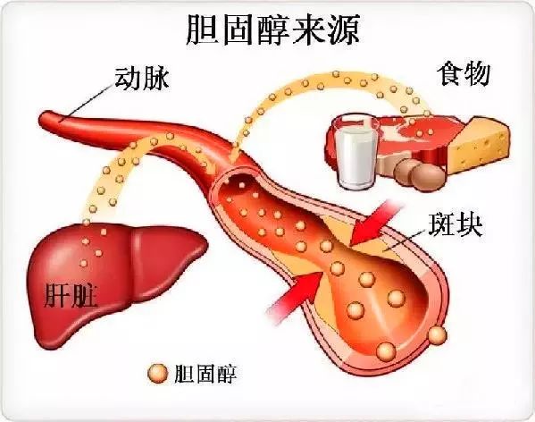 �����|����������jinnian(��������)��������