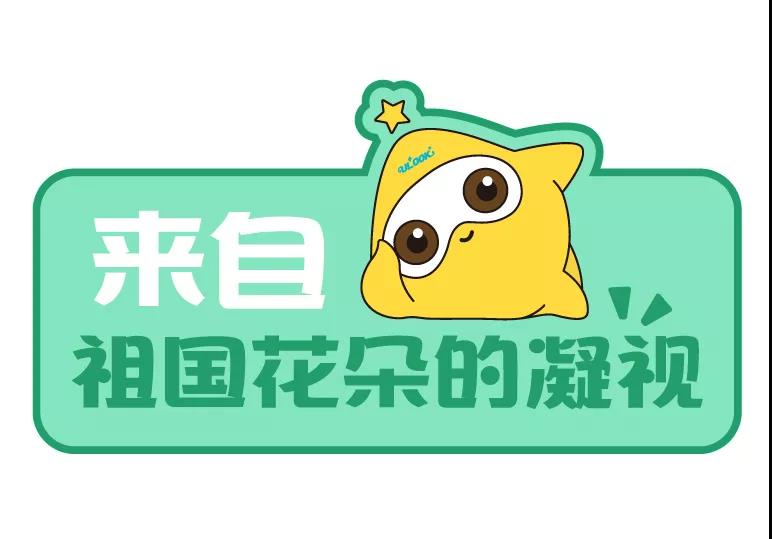 �����|����������jinnian(��������)��������