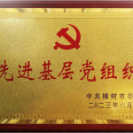 ϲ��������ᵳ֧���ٻ��С��Ƚ��²㵳��֯���ƺ�