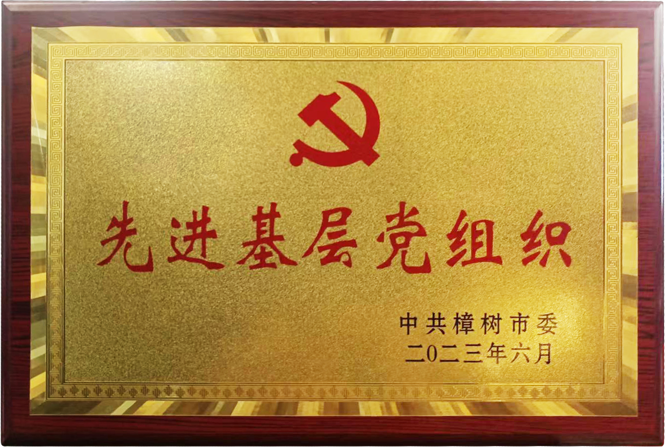 �����|����������jinnian(��������)��������