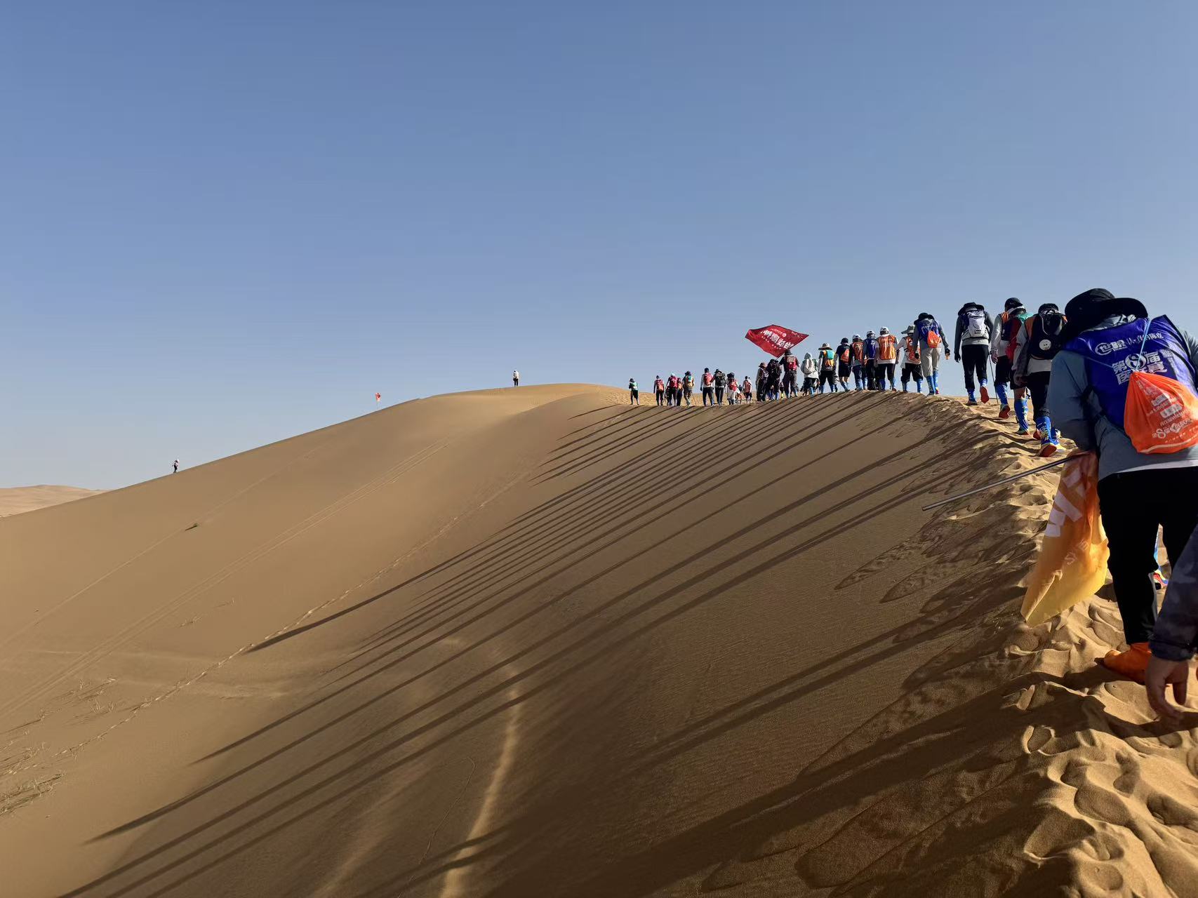 �����|����������jinnian(��������)��������